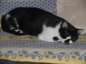 IMGP1189