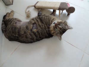 bijou1