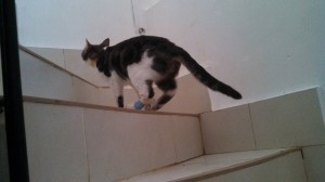 IMG_20130921_160406_982