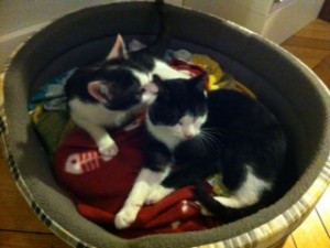 photo(6)
