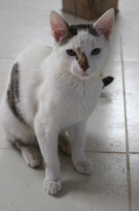 Jeff02