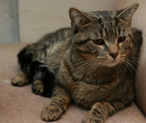 Titou02