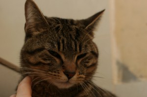 Titou04