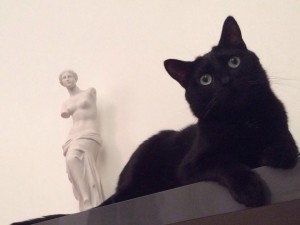 Jacques