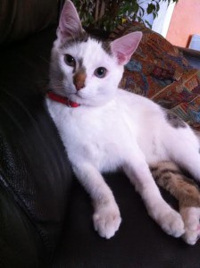 billy3