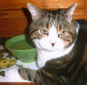 chouchou2