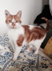 olympe4
