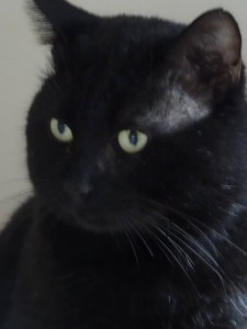 Mickael