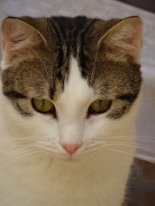 maxouXphoto