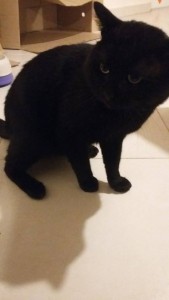 mickael1