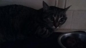 nora